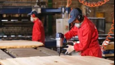 What skills do we need to produce wooden pallets? What skills do we need to produce wooden pallets?